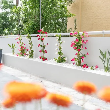 Апартаменты Hyacinthus Executive 5 Min To