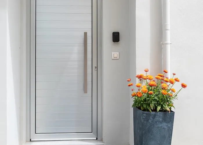 Apartamento Hyacinthus Executive 5 Min To *